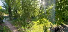westlicher teil i der flaeche