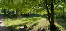 westlicher teil ii der flaeche